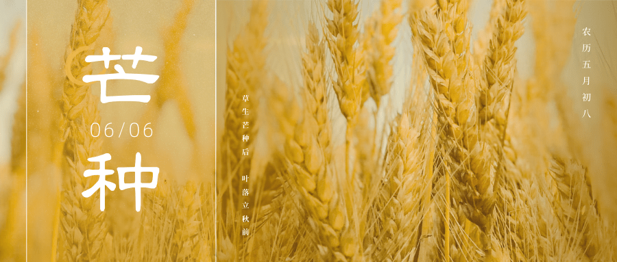 胃黏膜|芒种这样吃,养生舒心过夏天!