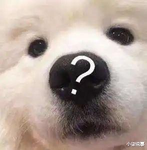 包文婧|女演员还敢跟他合作吗?