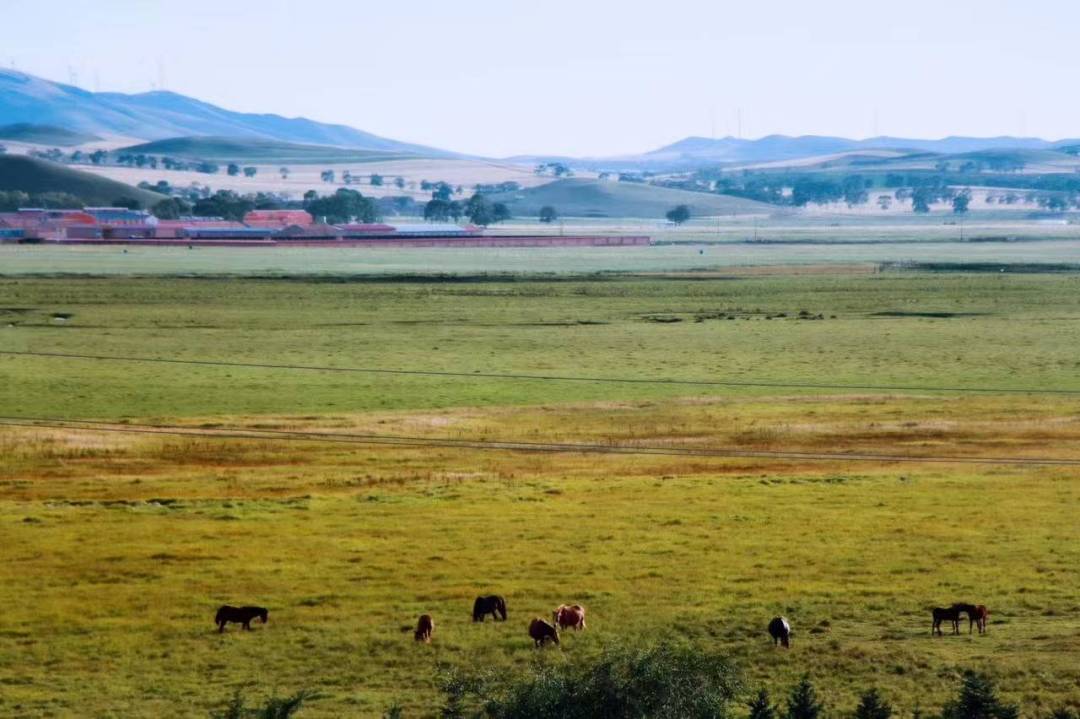 |职场中,我们都希望让领导为自己提供更多的帮助