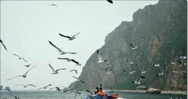 丽江旅游|中国无名蛇岛，栖息2万多条毒蛇，政府每天送吃送喝却从不开放！