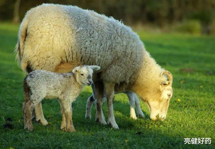 立秋|如何区分寒凉或温热食物？