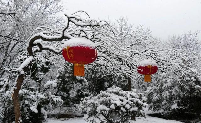 虎年拍雪不马虎,五个摄影技巧,把雪景照片拍得更漂亮