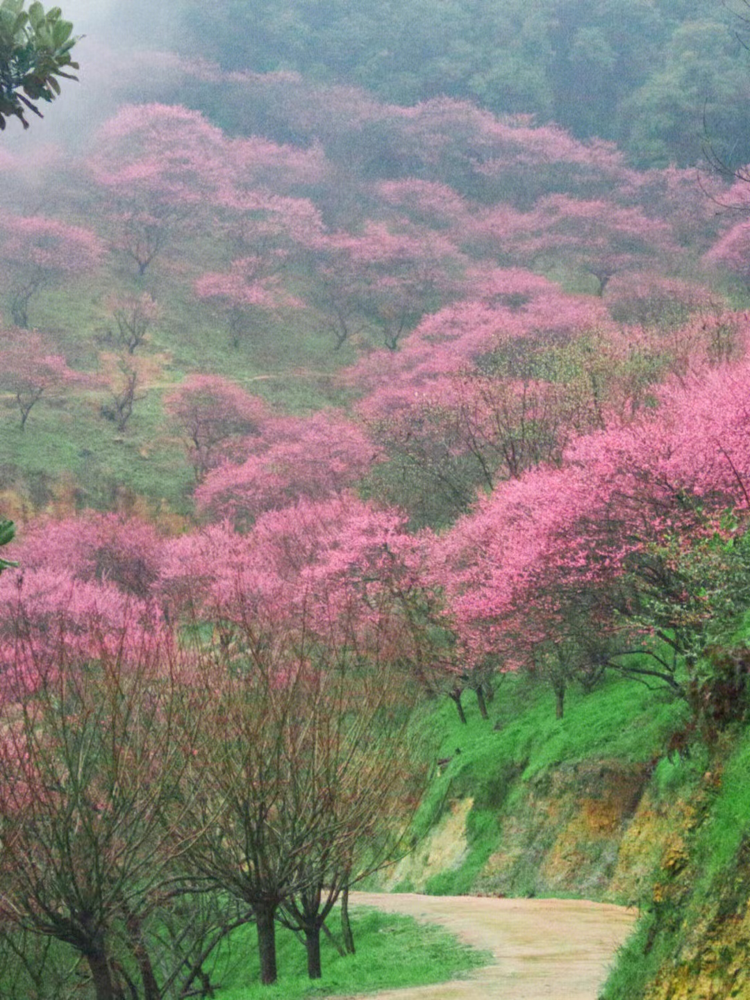 宁波|与世界再次重逢！宁波春节期间的绝美冬景！