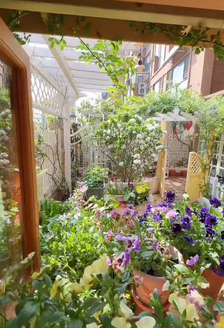 为了这个60㎡院子,买了一楼的房子,打造自己的秘密花园,太美啦