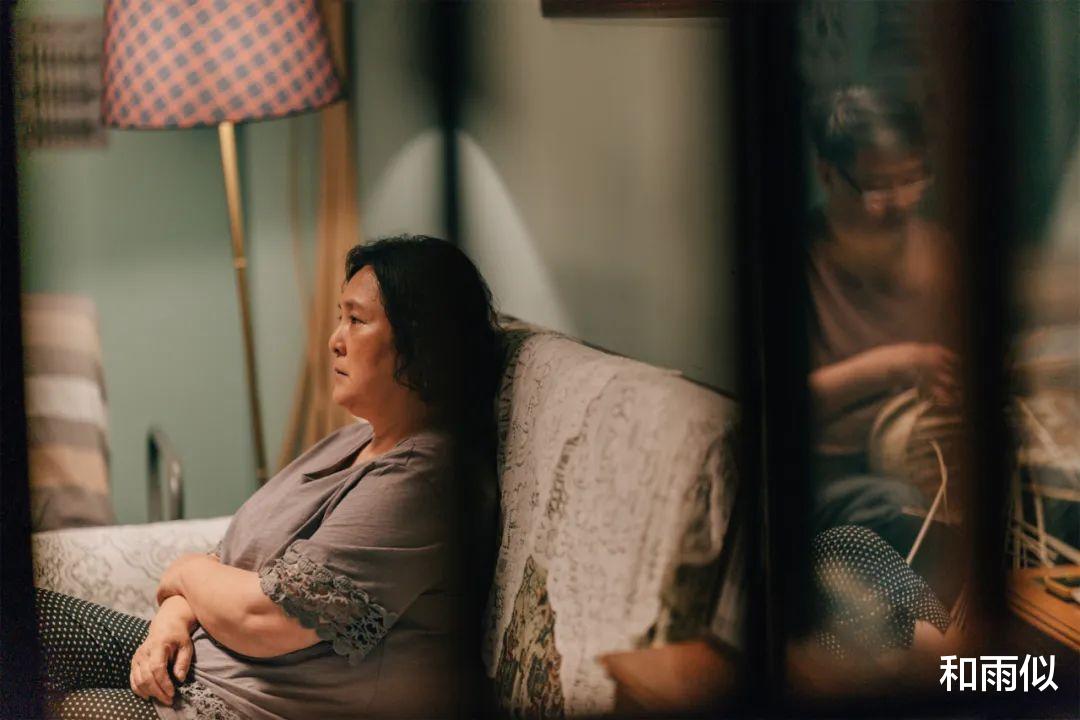 顾清俞|《心居》原著：嘴巴毒的苏望娣，太讨人嫌