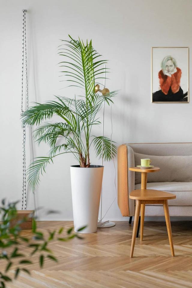 一位瑜伽爱好者的45平公寓,白色原木风温柔似水,悠闲自在超想住