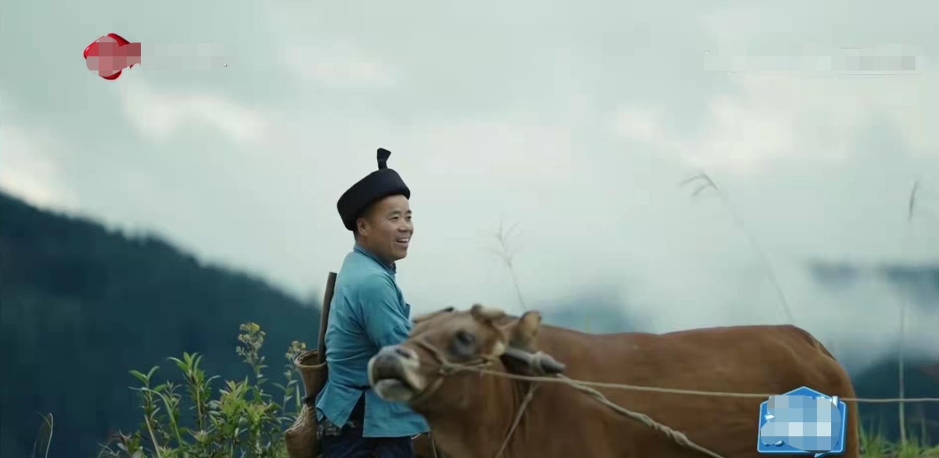 谢霆锋|谢霆锋不愧是娱乐圈之光，《百姓的味道》堪称综艺天花板