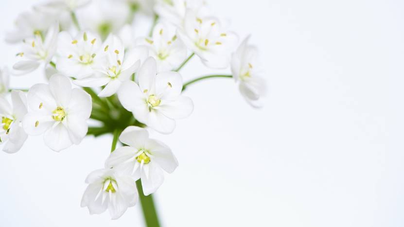 |理想主义是抑郁的帮凶,如果你不想整日郁闷,试试像高手一样思考