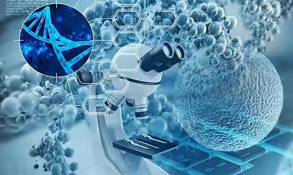 纳米技术在医学,正在获得安全性支持