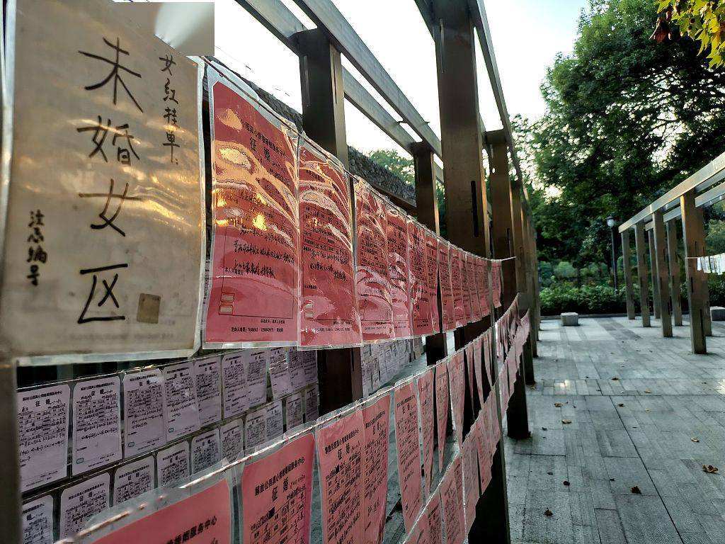 江苏卫视|33岁江苏卫视美女主持现身相亲角，举牌征婚，要求对方有房有车