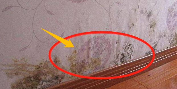 当初装修自以为是,谁劝都不听!连中11个装修坑,你可不要再踩了