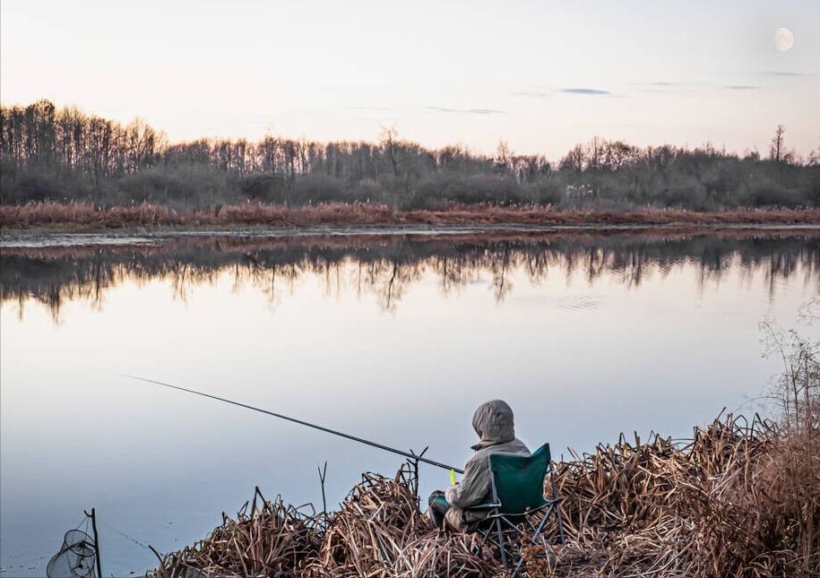 醉逍遥|有一个爱钓鱼的亲戚，隔三差五就来家里送鱼，用大水缸养起来？