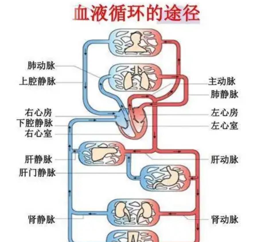 不穿宇航服进入太空会发生何事?苏联宇航员的血泪教训,敲响警钟