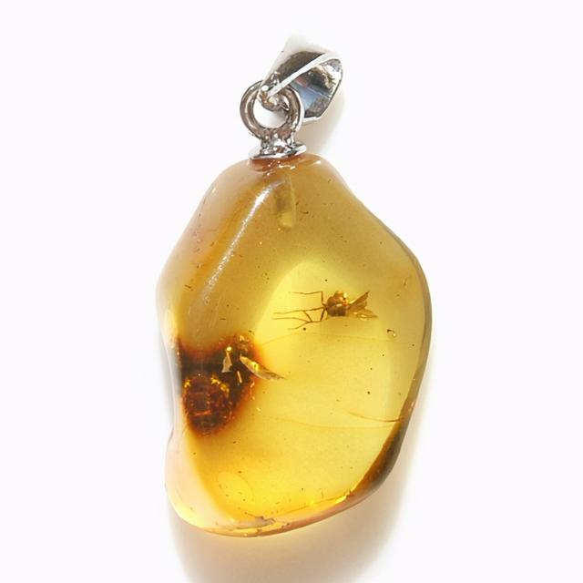 琥珀|天然琥珀与人工琥珀的区别