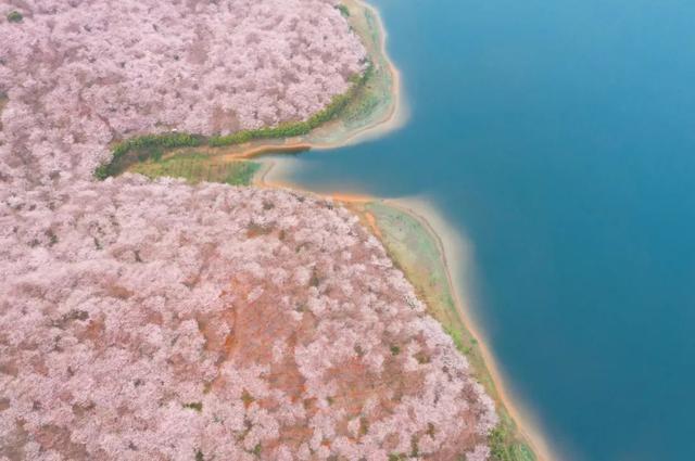 锡林郭勒|中国春天最美的12条自驾线，沿途花开成海，第一条就想立马出发！