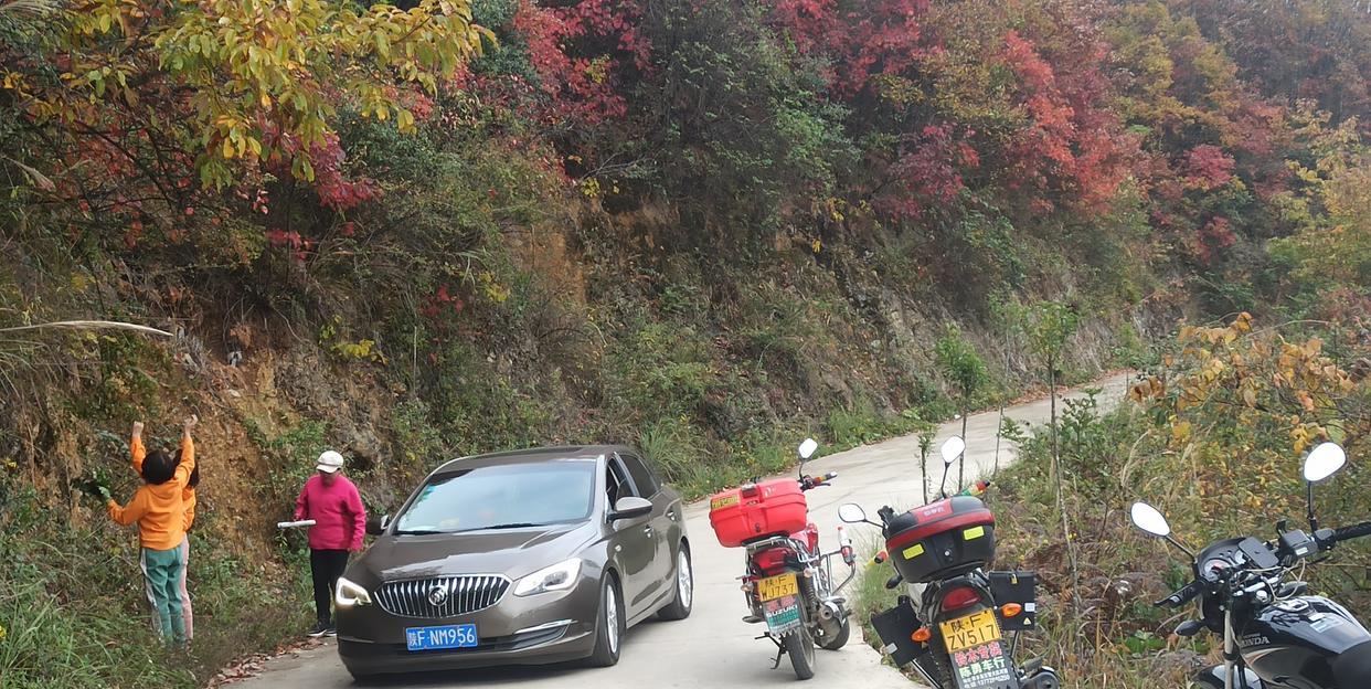 贵州旅游|西乡县的湾对坡,一个新兴网红打卡地,满山秋色惹人爱,游客醉了