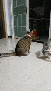 耳机|“工地里捡的耳机,连喇叭都没有,为啥有人出价4位数想收购?