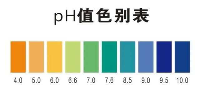 生吞壁虎可致死?壁虎真的有毒吗?
