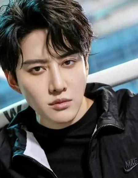 mike|泰国演员Mike改名吴翊歌,全力发展内地事业,吴京儿子却被黑