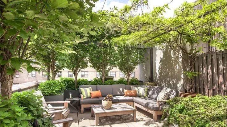 一个简单的花架，却美了整个院子