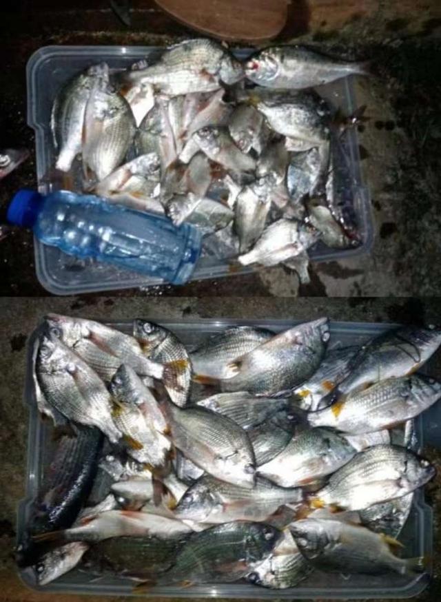 |【作钓报告】2022钓鱼之路已走完,2023开拓新的天地解锁新鱼种