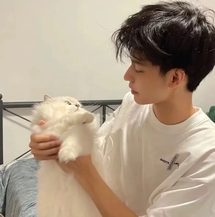 |超赞的微信头像