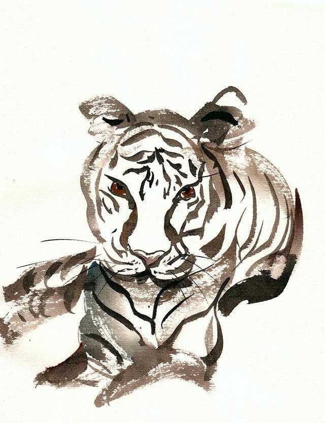 漳州|客厅不挂三画,聚财又旺家:有三种画最好不要挂在客厅,不是迷信