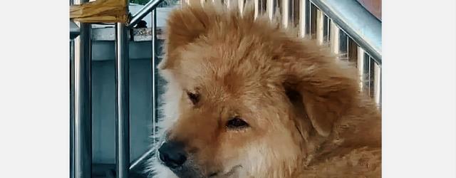 保安|九零后硕士打工人破防时刻：“发现小区保安工资六千，比我高”