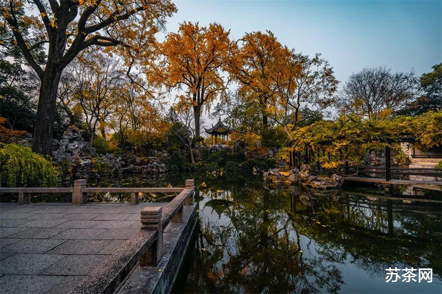 油菜花|这些游客打卡的热门景点，苏州人只觉得平平无奇，一般不去