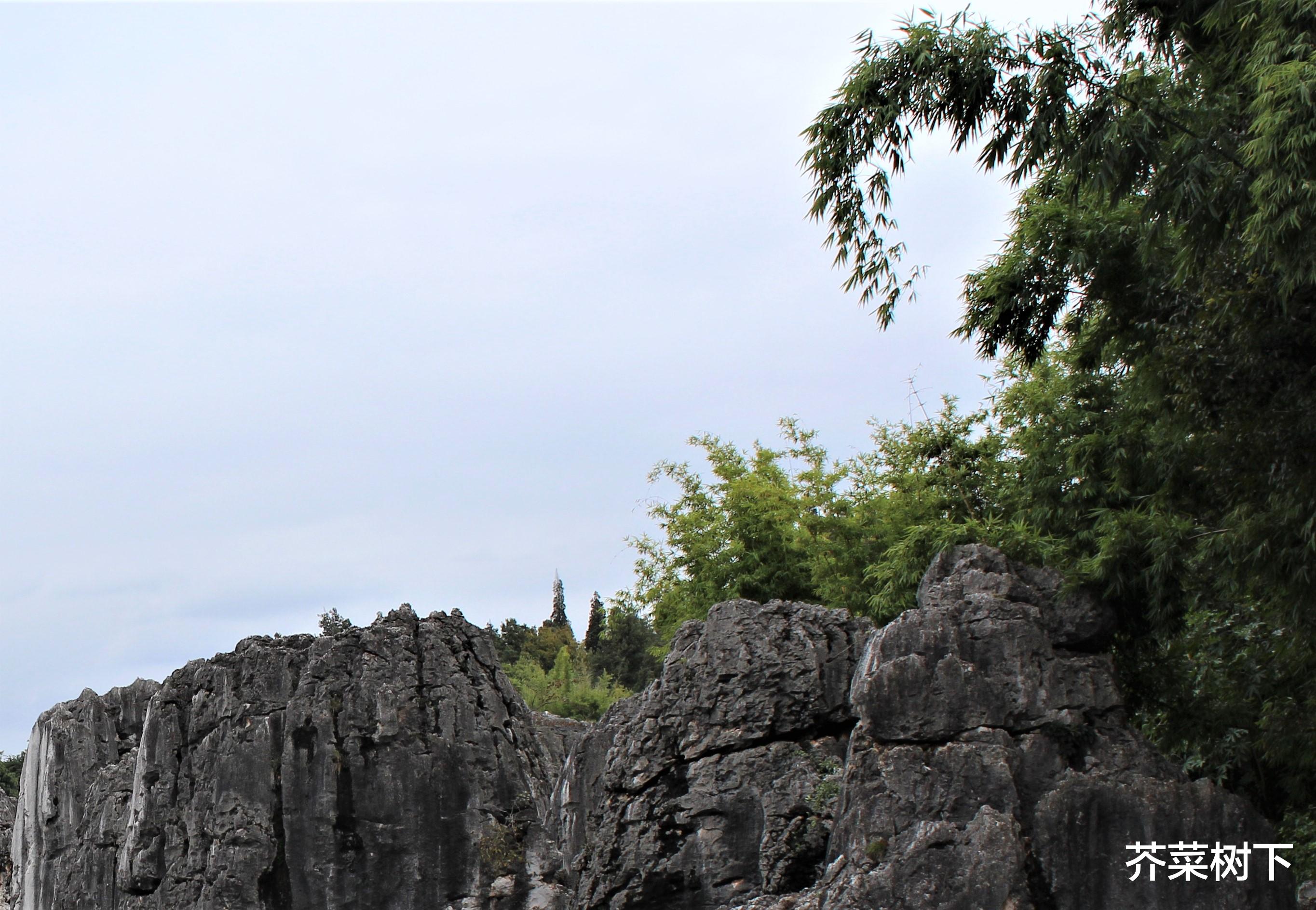 |工作上的高枝，费尽心机攀，未必抓得牢