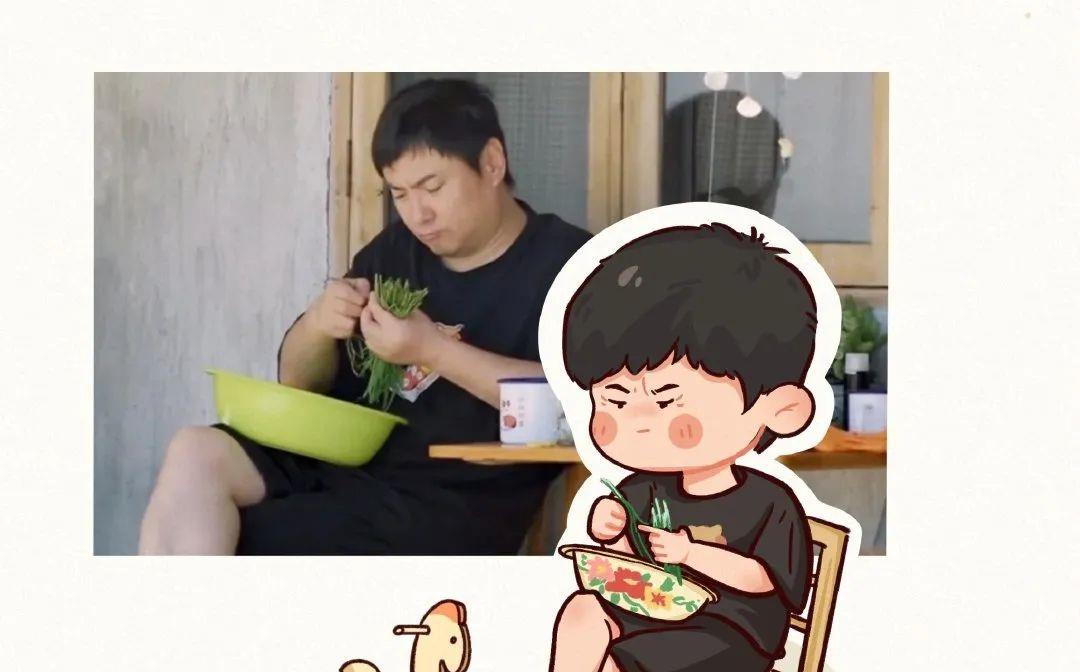 金晨|刘恺威，鹿晗，金晨王安宇，沈腾，吴谨