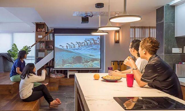 你见过在家里地板养鱼的吗?客厅里面装小院,这装修太神奇了!