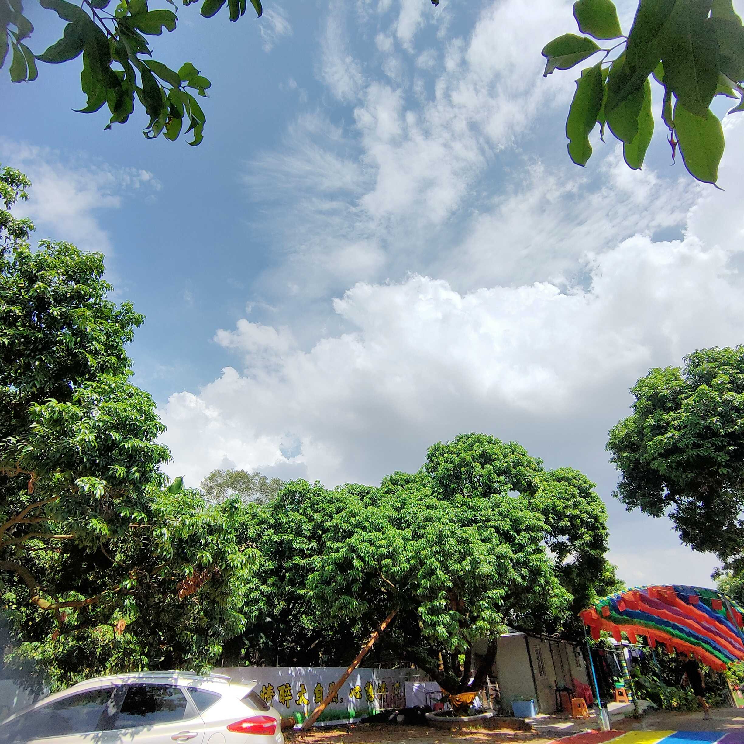 |秋季公司团建活动推荐，野炊烧烤，休闲玩乐，真人CS，钓鱼