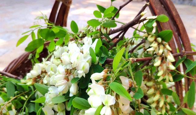 建议中老年人:别太节俭!这5菜要常吃,健脾补气,减轻肠胃负担