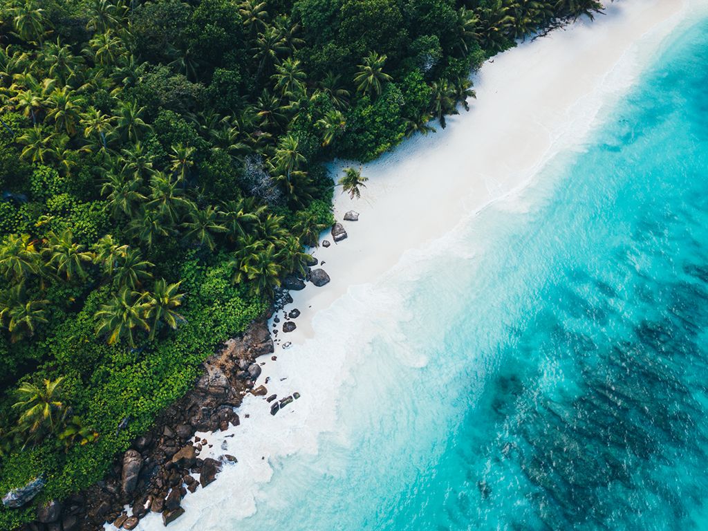 北京植物园|全球4大顶级海岛的头牌奢华酒店,满足你对海岛度假的所有幻想