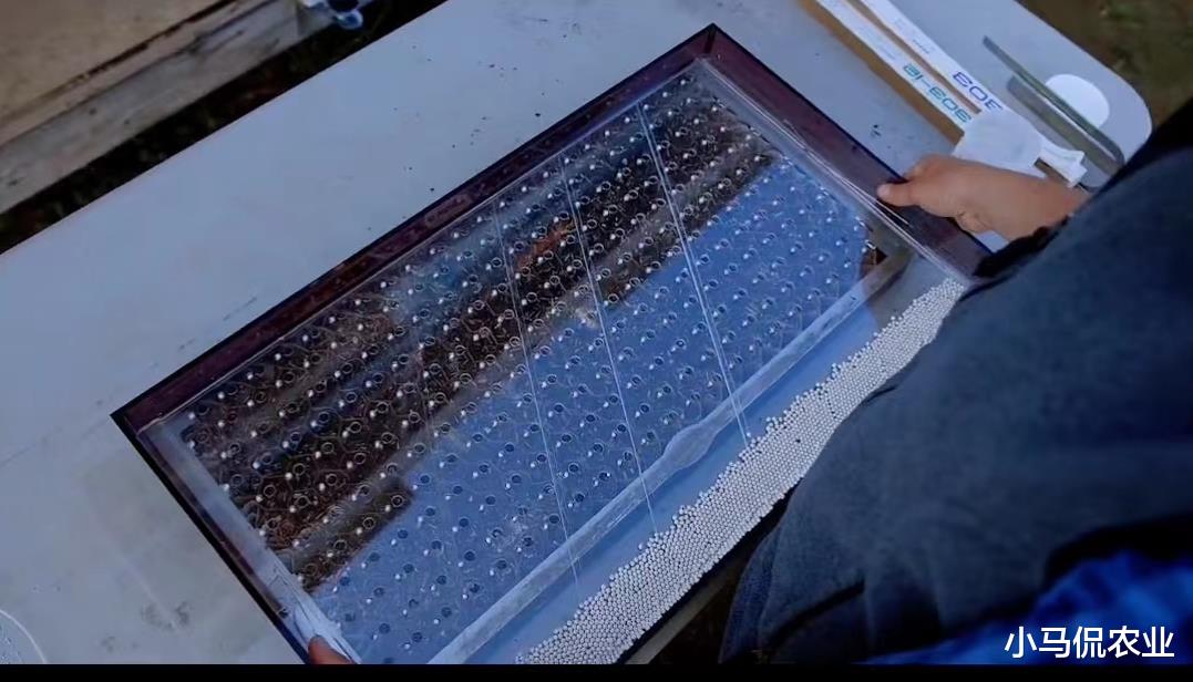 欧洲家庭农场10大播种工具，小而美效率提升50倍，小工具大智慧