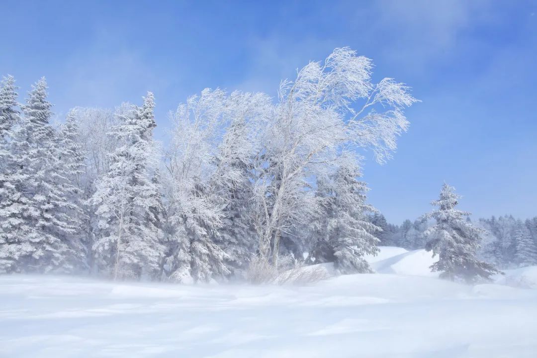 火山|长白：千年积雪的深处，是游走的梦