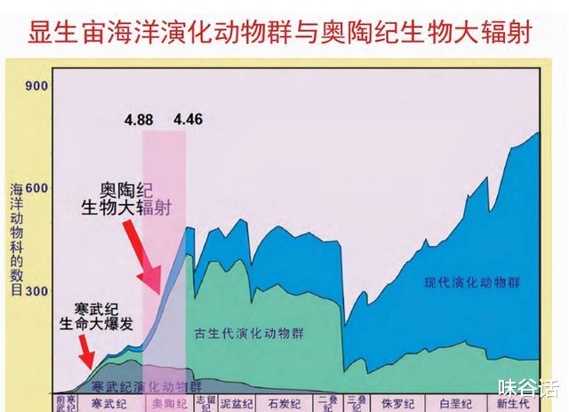 体长10米,竟能取代奇虾的海洋霸主?起源于奥陶纪的生物大辐射!