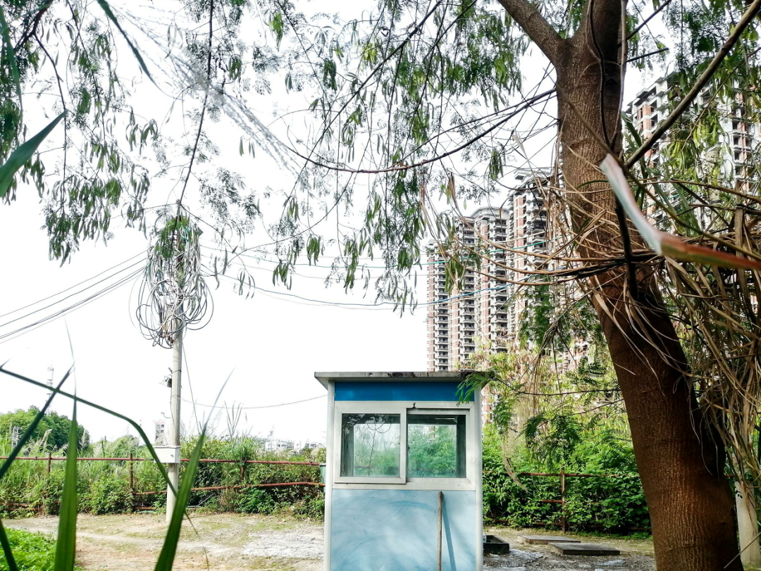 东莞|实探!民盈国贸旁!天骄国际花园现状!