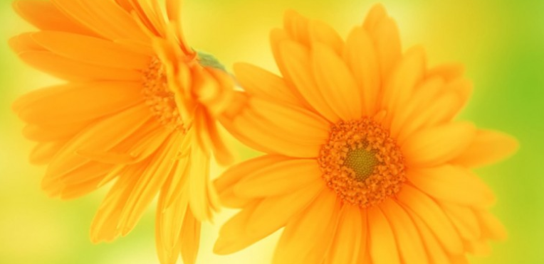 小鹏汽车|职场困扰问题，为什么员工资历越老越不受待见