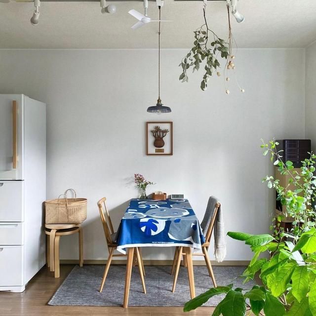 51岁日本阿姨独居33年，全屋温暖治愈，原来一个人居住这么爽！