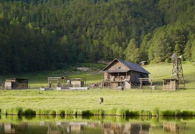 马场|《有风》里的漂亮马场，离洱海200多公里，曾藏在深山无人认识