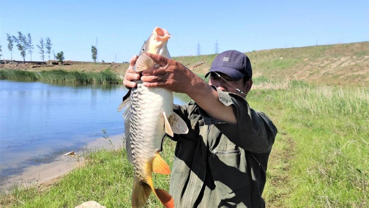 桐乡|秋天钓鲤鱼，先不要急着下竿，找好钓位、打好窝才是关键