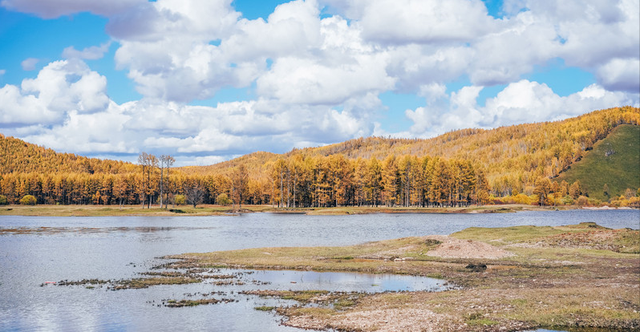 内蒙古|内蒙古一A级景区，有“亚洲第一湿地”的美誉，却因秋景美上热搜