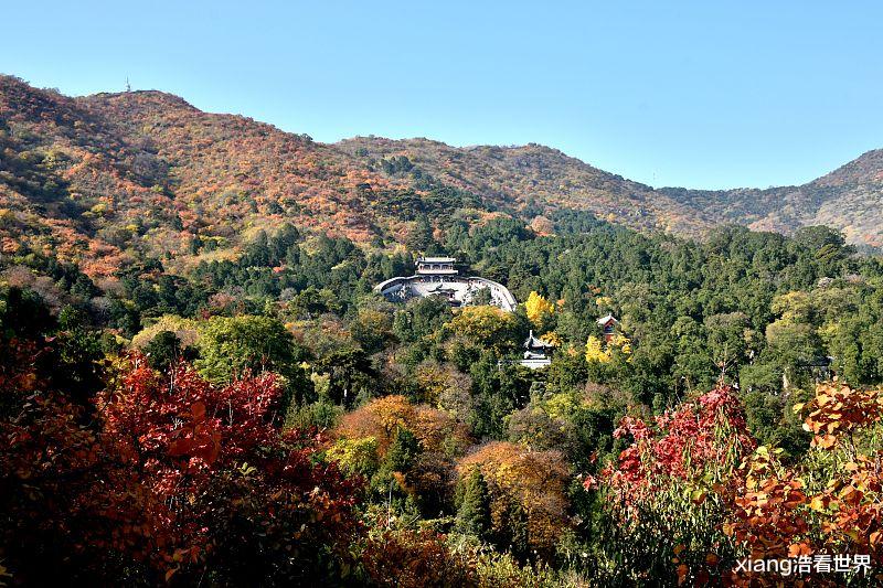 九寨沟|我国秋天最美的四个地方，5A级乡村、各大神仙景区位列其中
