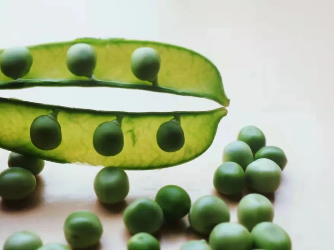 隆德园生活美学 | 日常摄影小技巧,提升朋友圈照片颜值