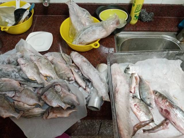 |【作钓报告】2022钓鱼之路已走完,2023开拓新的天地解锁新鱼种