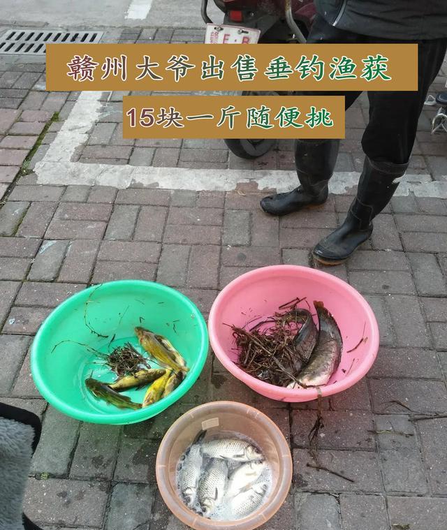 大爷|套路？江西大爷街头出售“垂钓渔获”，15块一斤随便挑