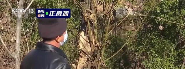 胡鑫宇|发现胡鑫宇的刘贵泉大爷描述：像雨裤，灯下黑，曾闻到过臭味