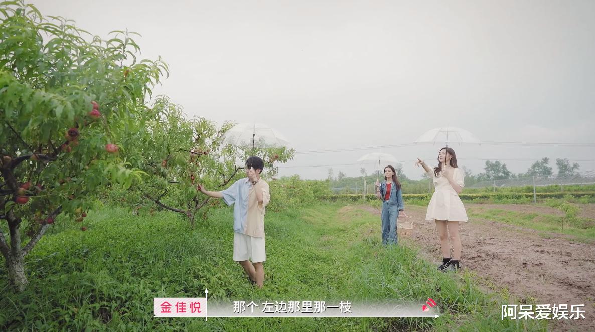 郭浩然|心动5：金佳悦的分寸感，让郭浩然左右为难，李承铉的分析很到位